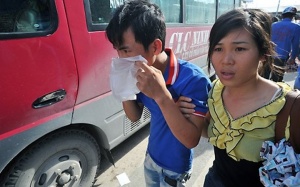 Trị say tàu xe chỉ nhờ trà thảo mộc