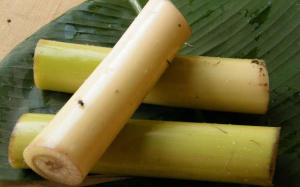 Những công dụng tuyệt vời từ thân chuối
