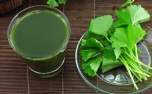 Bà bầu có nên uống nước rau má?