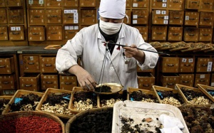 'Chữa lợn lành thành lợn què' vì dùng thuốc Đông y tùy tiện