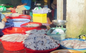 Đa số mẫu thử hải sản ở Vũng Tàu đều chứa formol, hàn the