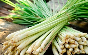 10 lợi ích sức khỏe kỳ diệu từ cây sả