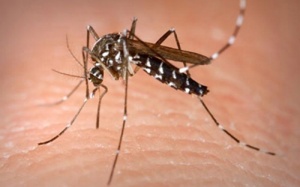 Có những dấu hiệu này chắc chắn bạn bị sốt xuất huyết