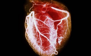 Calci, dầu cá và vitamin D ảnh hưởng thế nào đến tim?