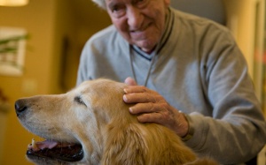 6 cách làm giảm căng thẳng cho người Alzheimer