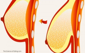 Muốn ngực săn chắc hãy thực hiện ngay cách này