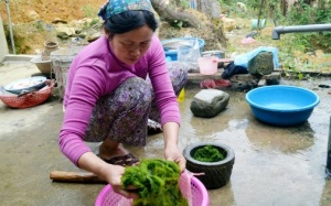 Kỳ bí ngôi làng trường thọ nhờ ăn rêu đá