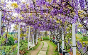 Tử vi 12 cung hoàng đạo thứ hai (16/5/2016)