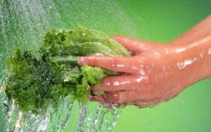 Loại nước “bí mật” để ngâm rau quả hết thuốc trừ sâu