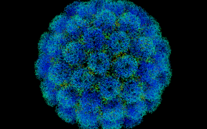 Virus gây bại liệt lại chữa được ung thư?