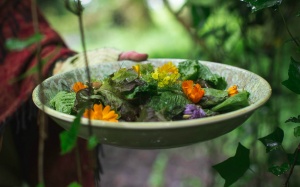 Thực phẩm chức năng detox thải độc không dùng thì tiếc