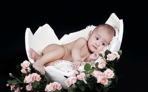 Chăm con đúng cách, cả năm không ốm