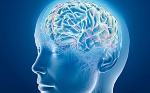 4 thực phẩm giúp tăng dopamine trong não cho bệnh nhân Parkinson