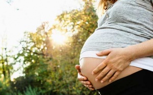 6 thực phẩm phụ nữ mang thai nên tránh xa