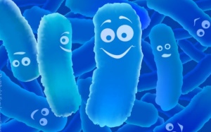 Đọc ngay: Phân biệt men vi sinh và men tiêu hóa để dùng đúng