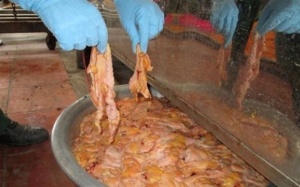 Thực phẩm bẩn: Đâu là giới hạn cuối cùng?