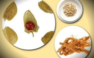 Liệu pháp tự nhiên giúp cân bằng hormone 