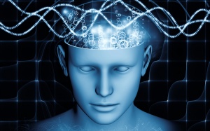 Chỉ số IQ của con người lúc mơ cao hơn lúc tỉnh?