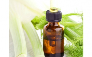 Tinh dầu thì là - liệu pháp giảm cân, hỗ trợ tiêu hóa