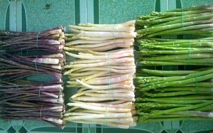 Măng tây - thuốc hay cho hai phái