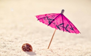 Tử vi 12 cung hoàng đạo thứ hai (13/6/2016)