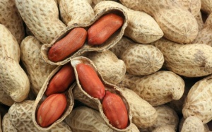 3 món ngon bỏ túi khi mùa lạc đã về