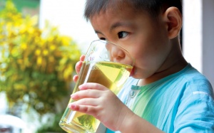 Có nên cho trẻ em uống trà, trà sữa?