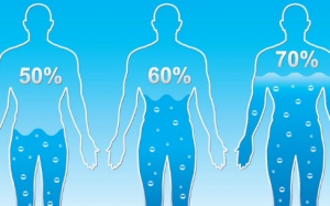 Mỗi ngày uống bao nhiêu nước là đủ