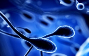 Ngồi yên xe phơi nắng có làm chết tinh trùng?