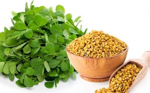 Lợi ích từ cỏ cà ri cho nam giới