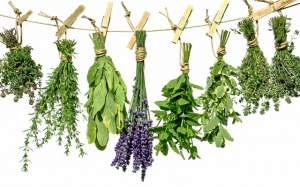 7 loại thảo mộc không nên bỏ qua trong nấu nướng