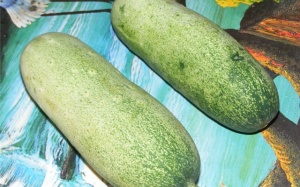 'Dưa chuột mèo' to như phích: Dân Hà thành tò mò ăn thử