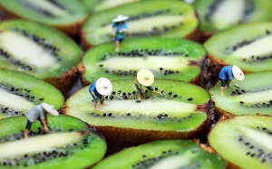 Sai lầm khi bỏ qua 5 loại trái cây tăng hiệu quả chữa trị bệnh ung thư