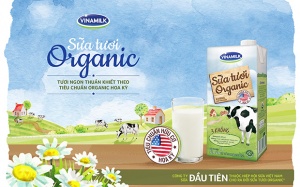 Sữa tươi organic: Lạ mà lành. Bạn đã thử chưa?
