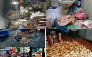 Từ 1/7, người bán thực phẩm bẩn sẽ bị phạt tới 20 năm tù