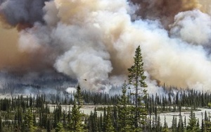 Những hình ảnh ấn tượng “kể” về môi trường thế giới