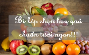 Bí kíp giúp bạn chọn các loại trái cây tươi ngon, thơm ngọt