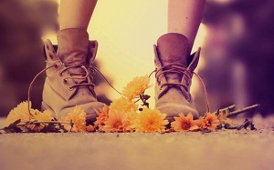 Chỉ được lợi khi bỏ thứ này vào trong đôi giày của bạn