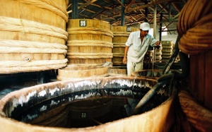 Làm sao phân biệt đâu là nước mắm thật?