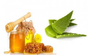 Uống nước lô hội mật ong có trị khỏi ung thư?