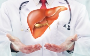 Video: Những sự thật đáng ngạc nhiên về lá gan