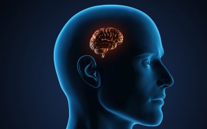 Không muốn bị teo não hãy dừng ngay những thói quen này!