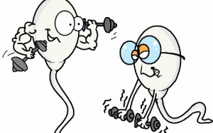 Làm sao để cải thiện 'con giống'? 