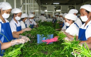 Xuất khẩu thực phẩm sạch, nhập khẩu thực phẩm bẩn