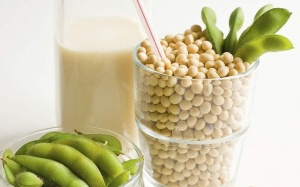 Uống sữa đậu nành thường xuyên có bị dậy thì sớm?