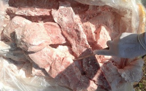 Bắt 600 kg nầm lợn bốc mùi nhập lậu từ Trung Quốc