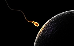 Khó lên chức bà nội vì sai lầm khi mang thai