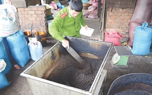 Uống cà phê hay uống đậu nành và bắp rang cháy?