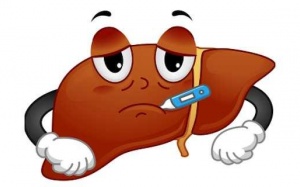 5 nguyên nhân có thể dẫn đến suy gan