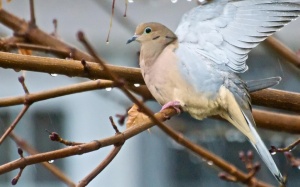 Tử vi 12 cung hoàng đạo thứ bảy (23/7/2016)